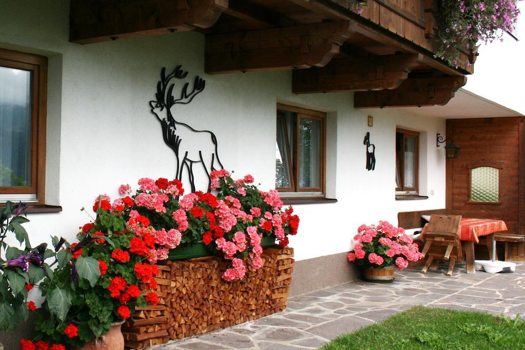 Haus Ampferstein Lägenhet Telfes im Stubai Exteriör bild